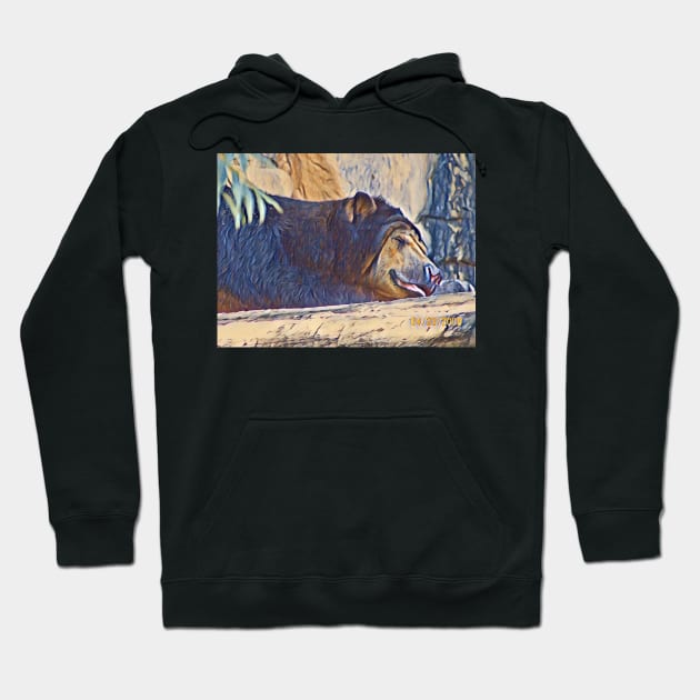 Sun Bear Hoodie by Sharonzoolady